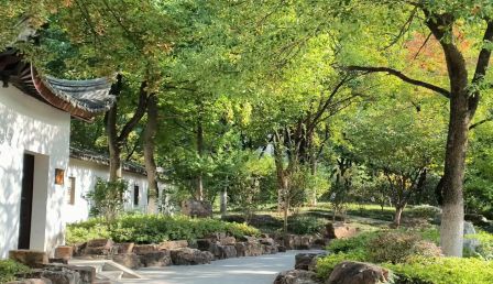 学校后花园